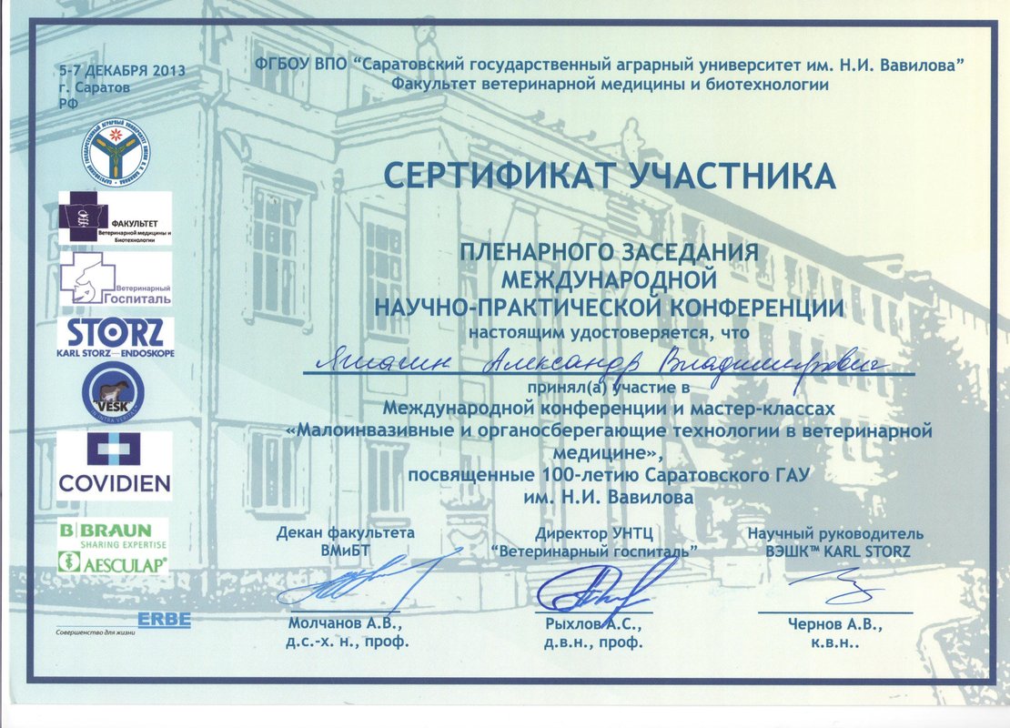 Документ или сертификат