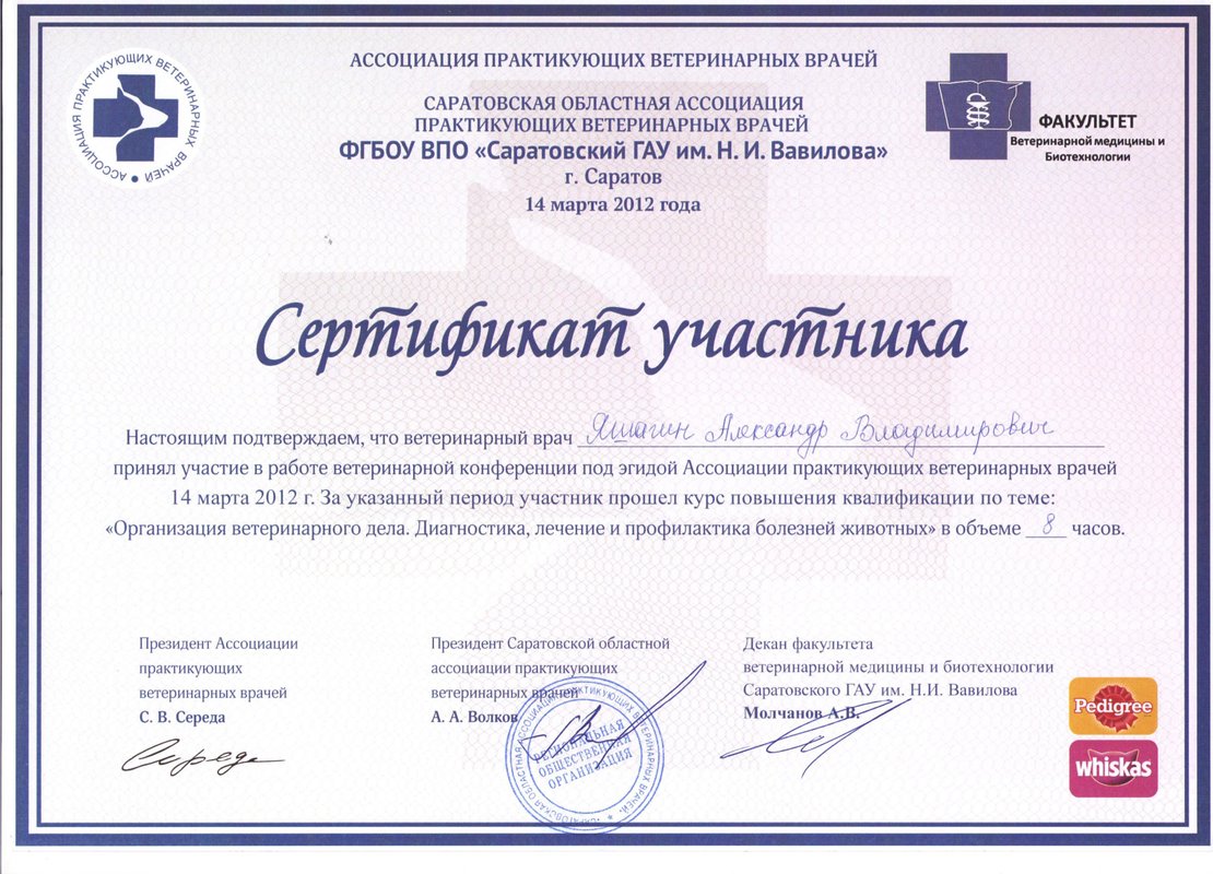 Документ или сертификат