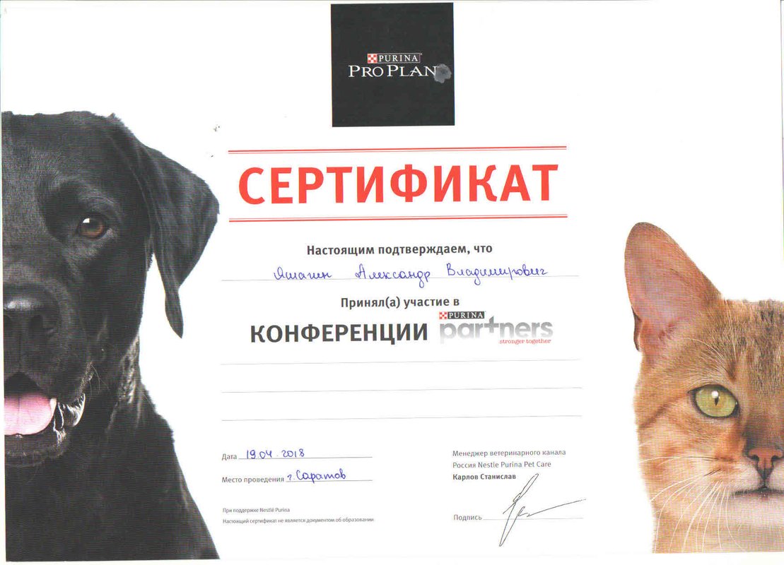 Документ или сертификат