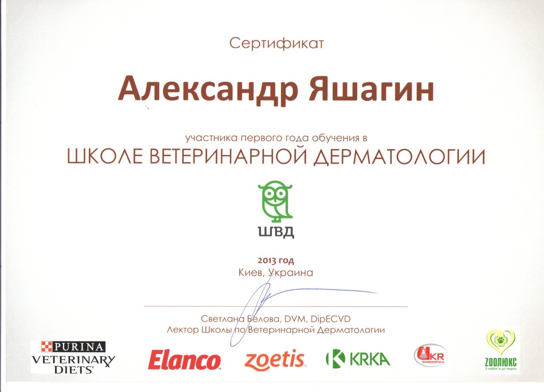 Документ или сертификат