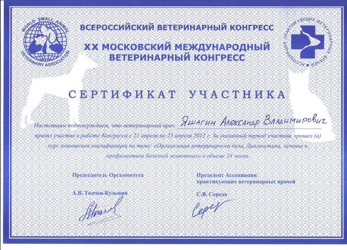Документ или сертификат