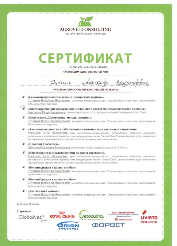 Документ или сертификат