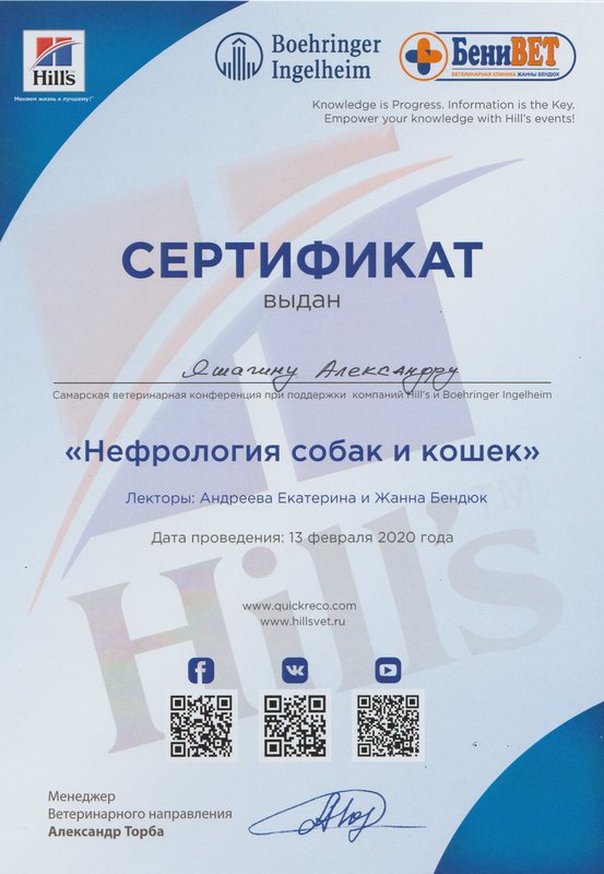 Документ или сертификат