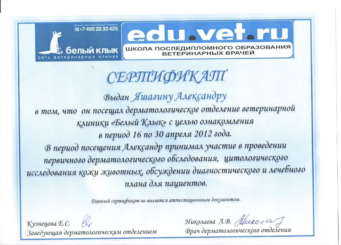 Документ или сертификат