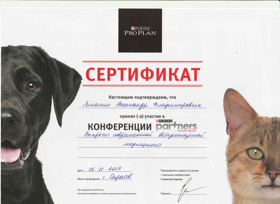 Документ или сертификат