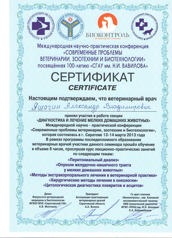 Документ или сертификат