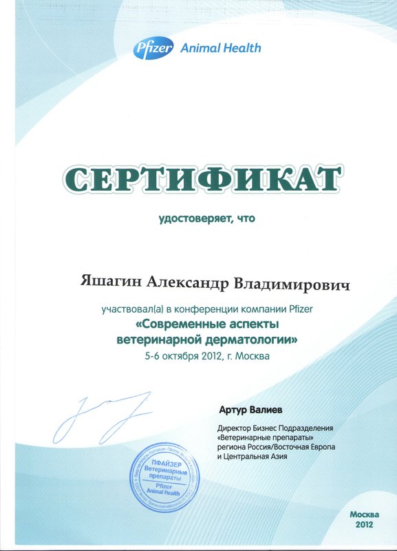 Документ или сертификат