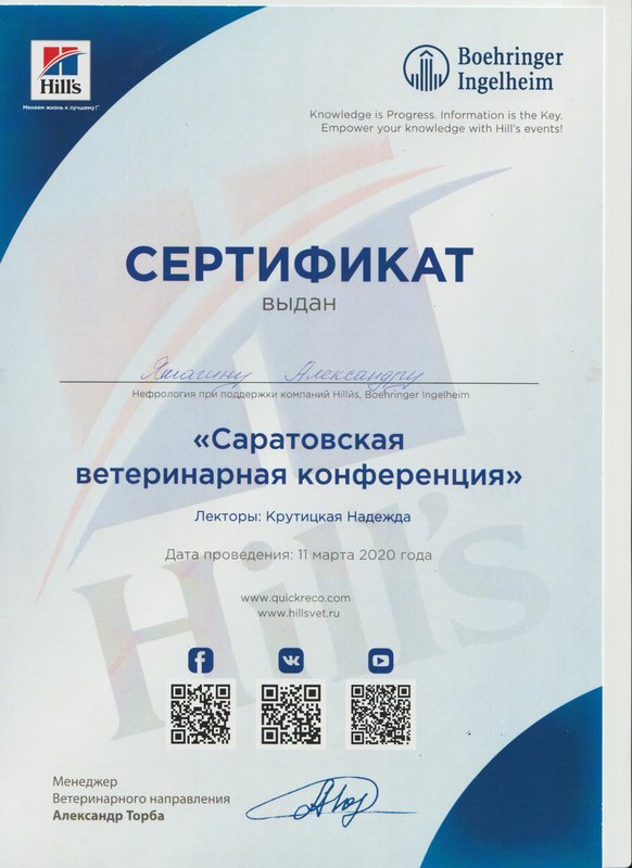 Документ или сертификат
