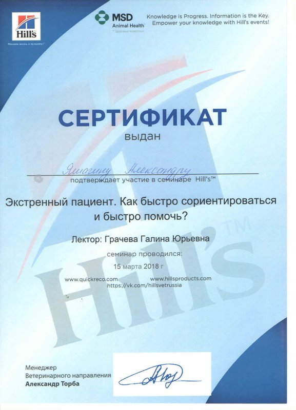 Документ или сертификат
