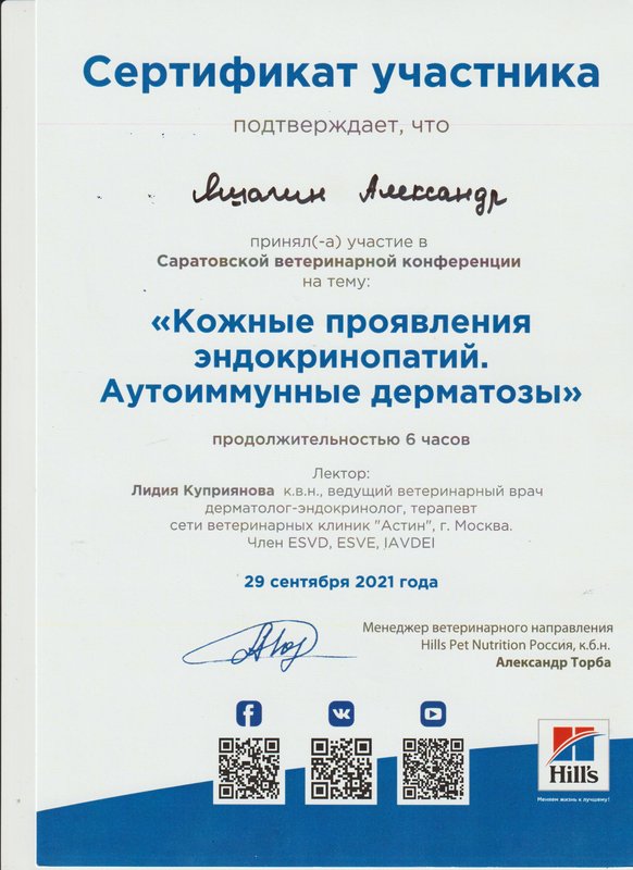 Документ или сертификат