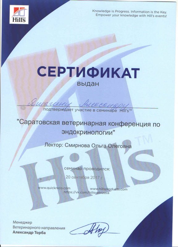 Документ или сертификат