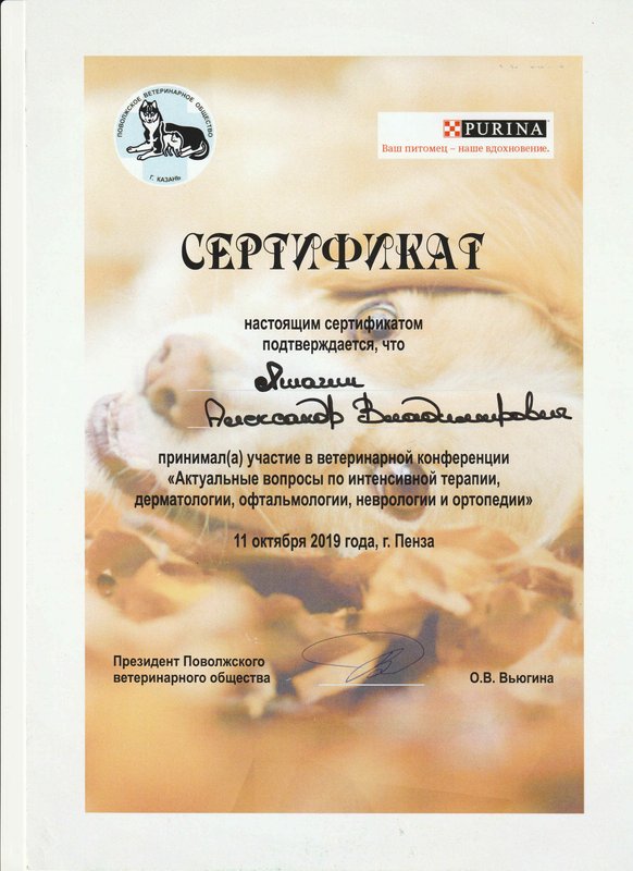 Документ или сертификат