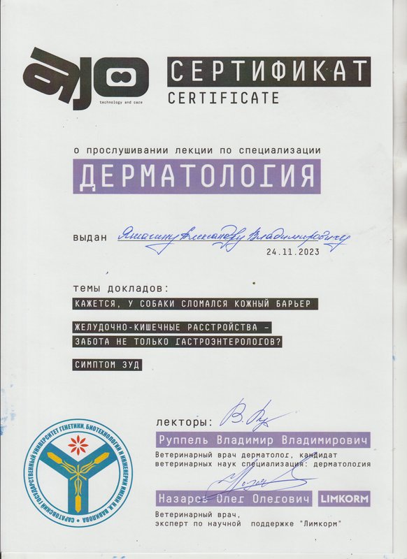 Документ или сертификат