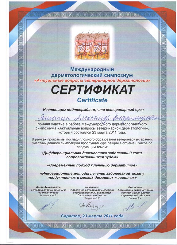 Документ или сертификат