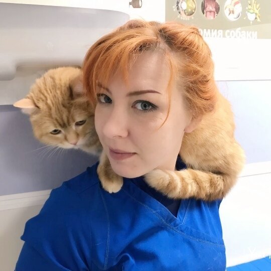 Фото врача