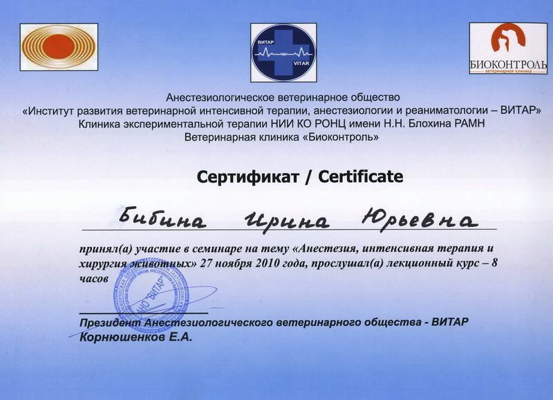 Документ или сертификат