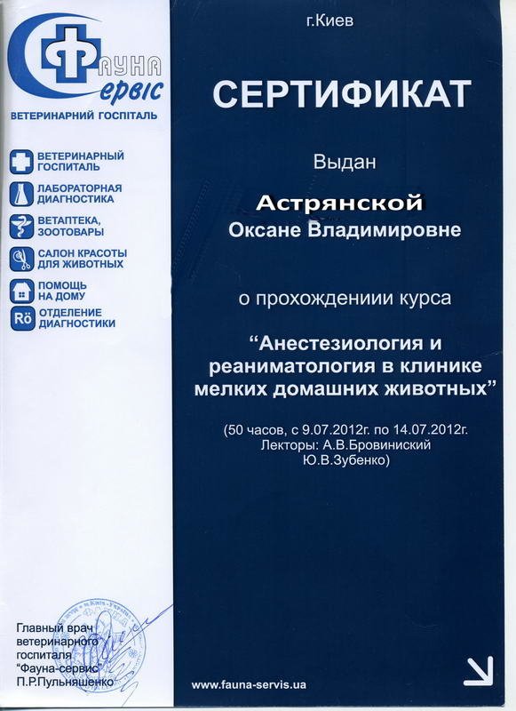 Документ или сертификат