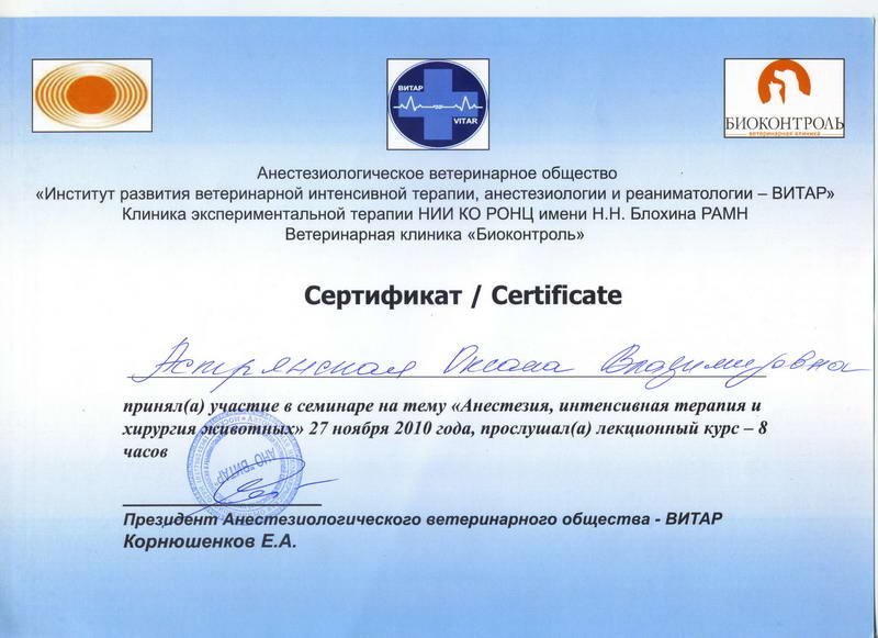 Документ или сертификат
