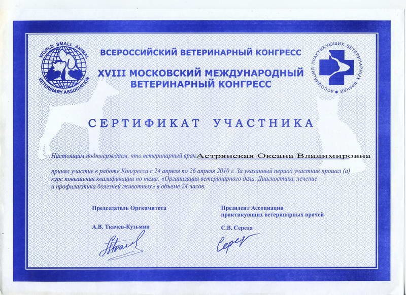 Документ или сертификат