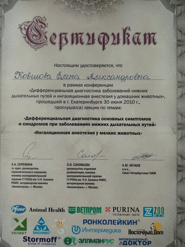 Документ или сертификат