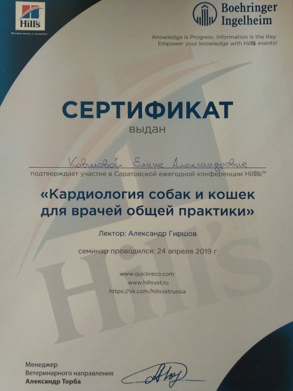 Документ или сертификат