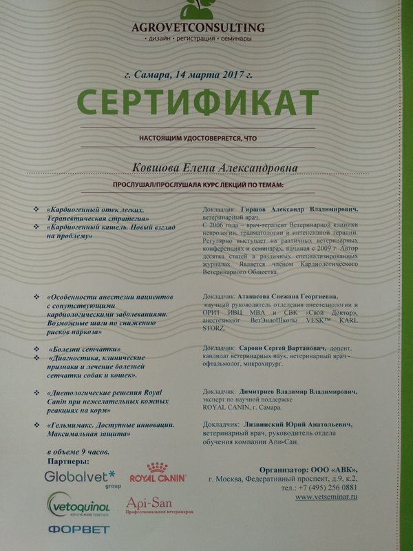 Документ или сертификат