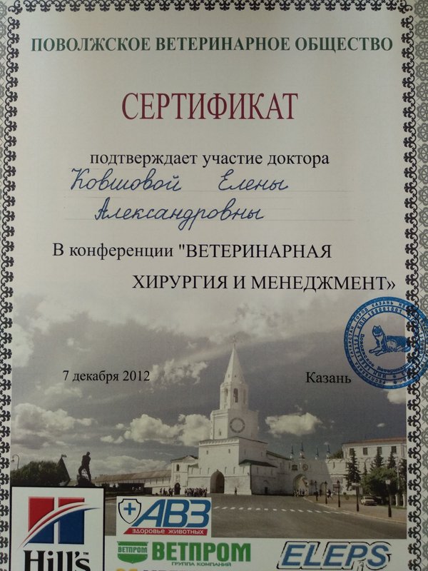 Документ или сертификат