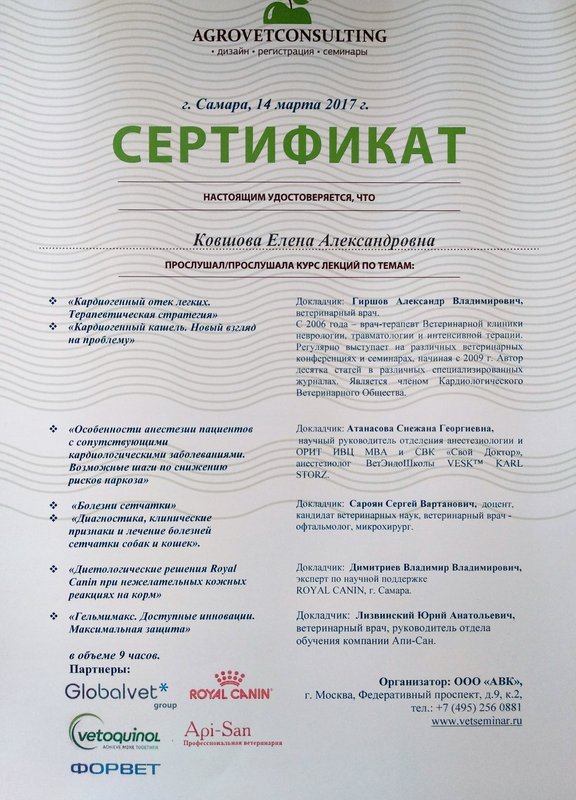 Документ или сертификат