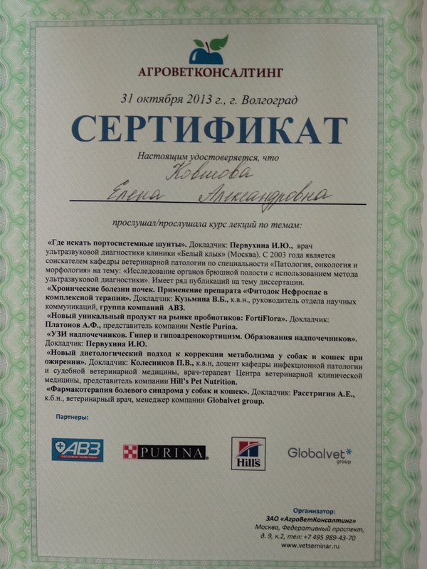 Документ или сертификат