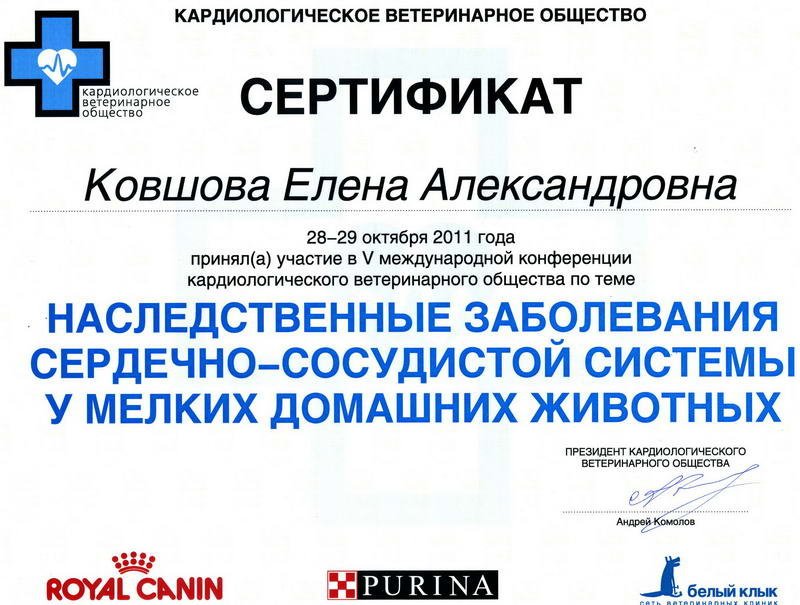 Документ или сертификат