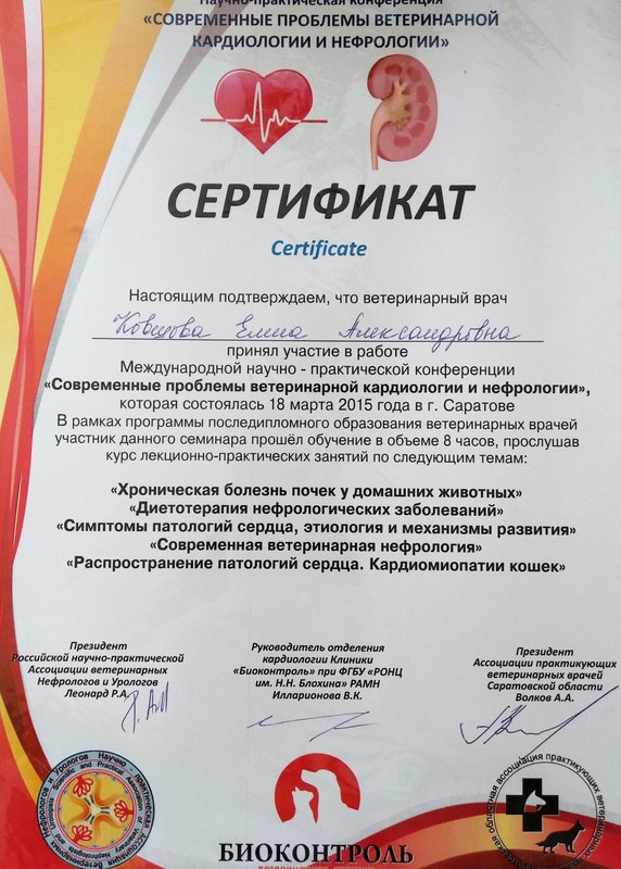 Документ или сертификат