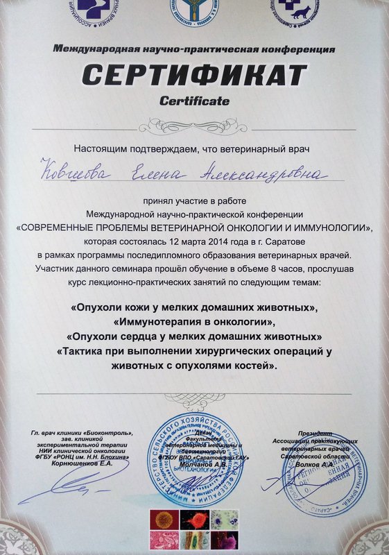 Документ или сертификат