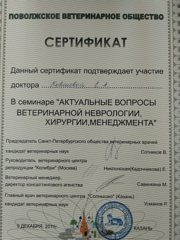 Документ или сертификат