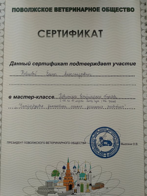 Документ или сертификат
