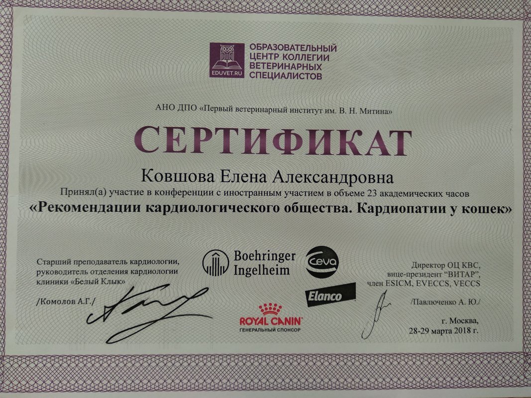 Документ или сертификат