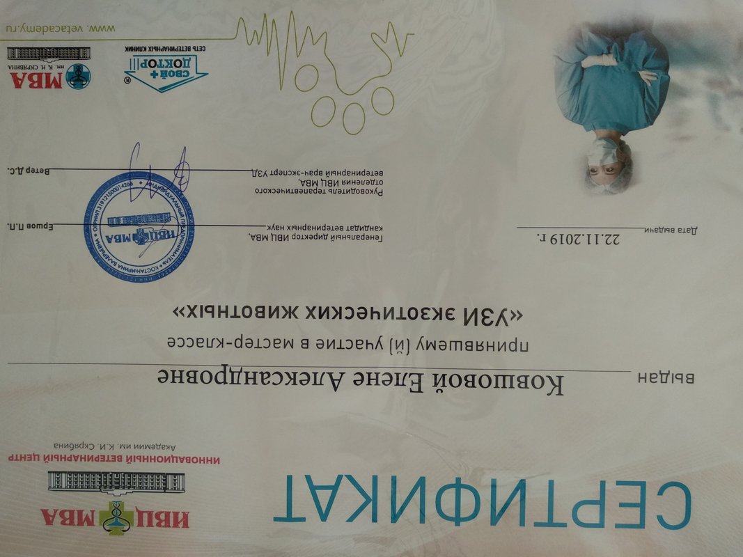 Документ или сертификат