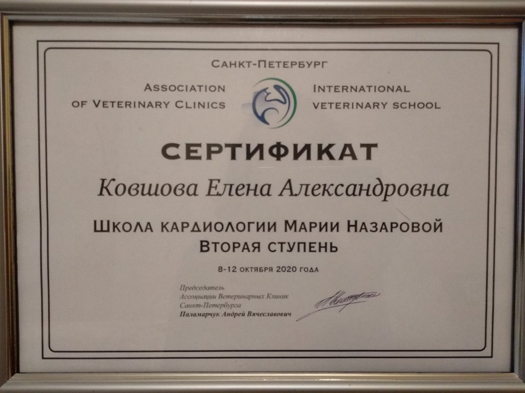 Документ или сертификат
