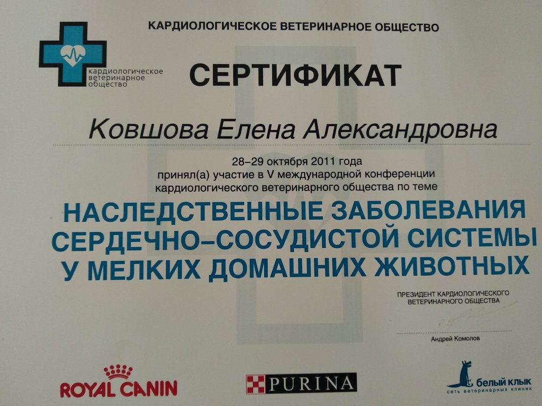 Документ или сертификат
