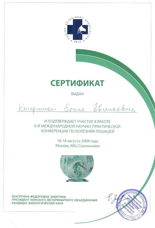 Документ или сертификат
