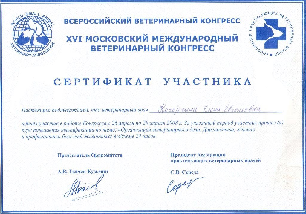 Документ или сертификат