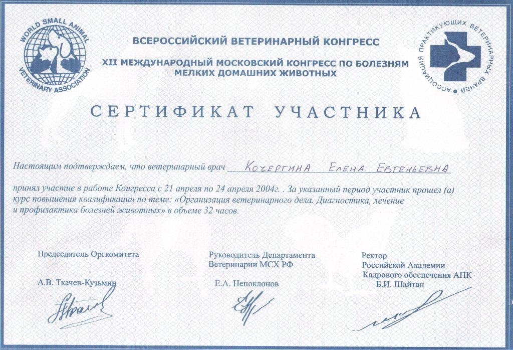 Документ или сертификат