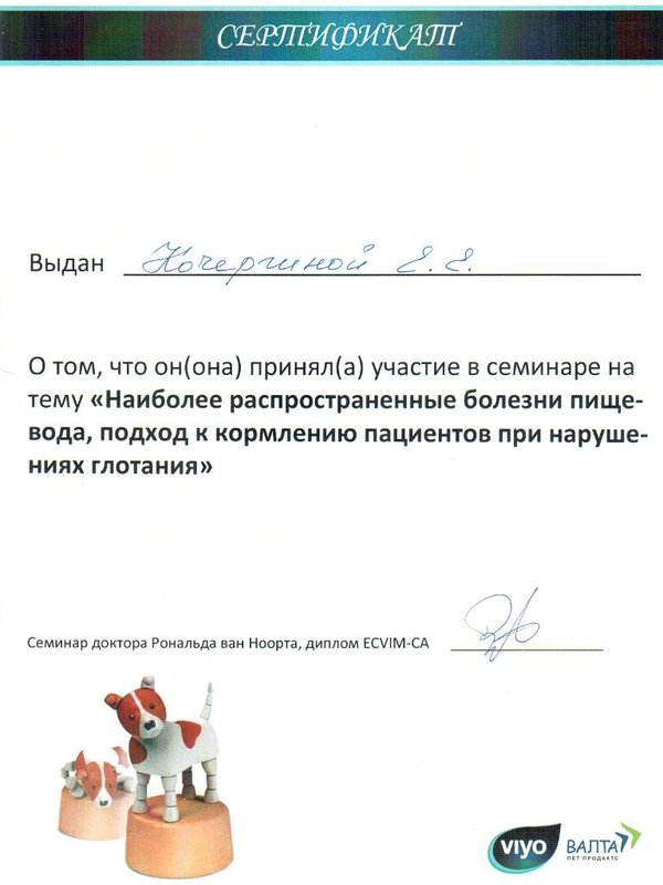 Документ или сертификат