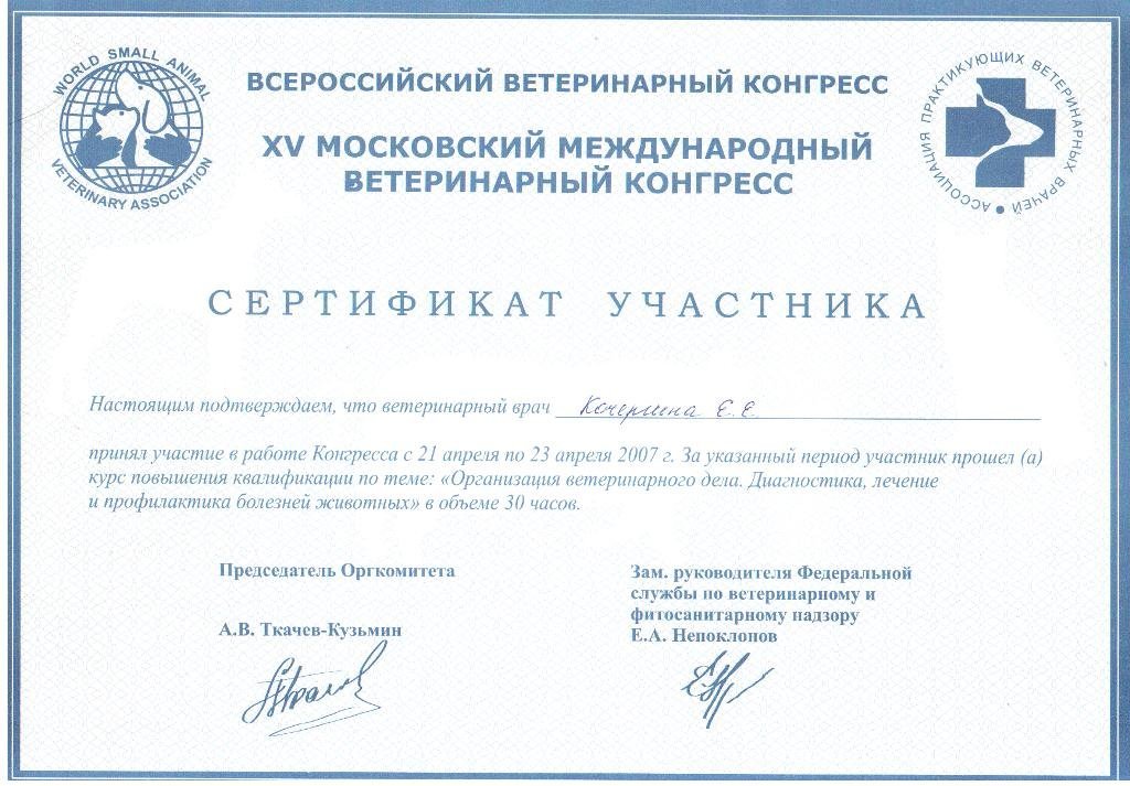 Документ или сертификат