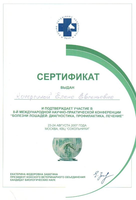 Документ или сертификат