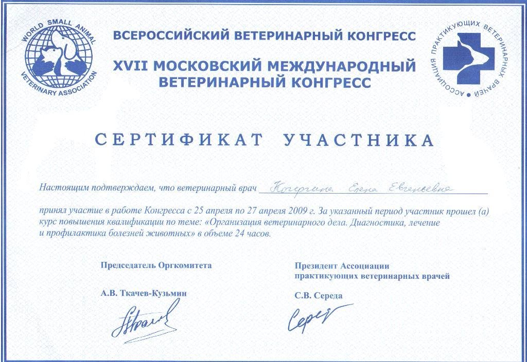 Документ или сертификат