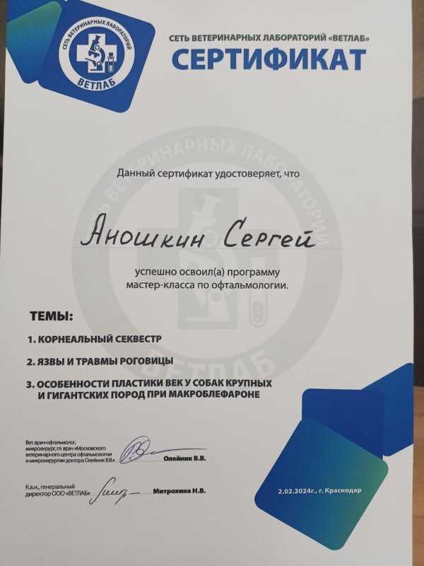 Документ или сертификат
