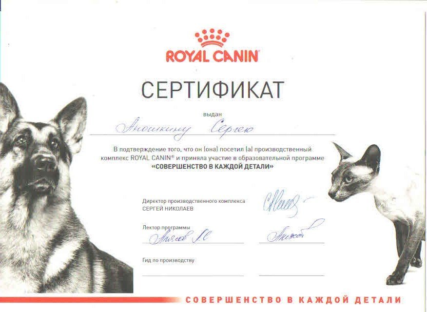 Документ или сертификат