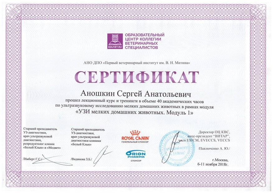 Документ или сертификат