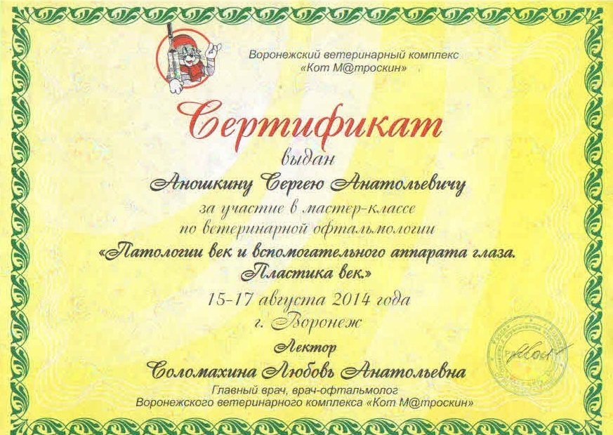 Документ или сертификат