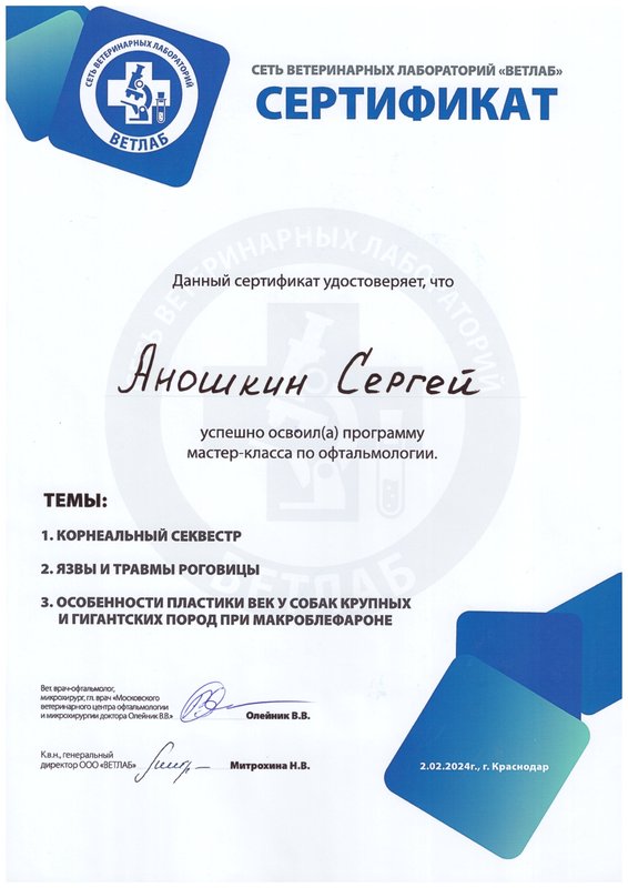 Документ или сертификат